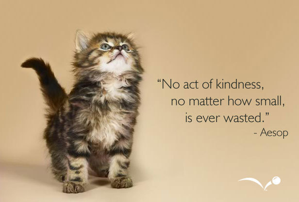 quotes about kindness and respect
